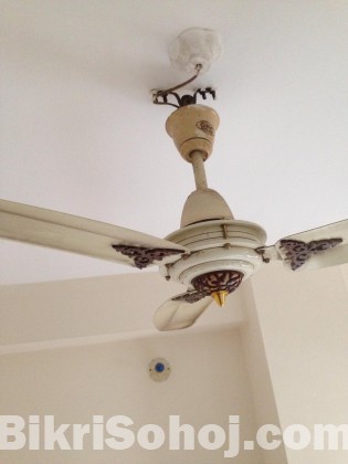 GFC Ceiling Fan